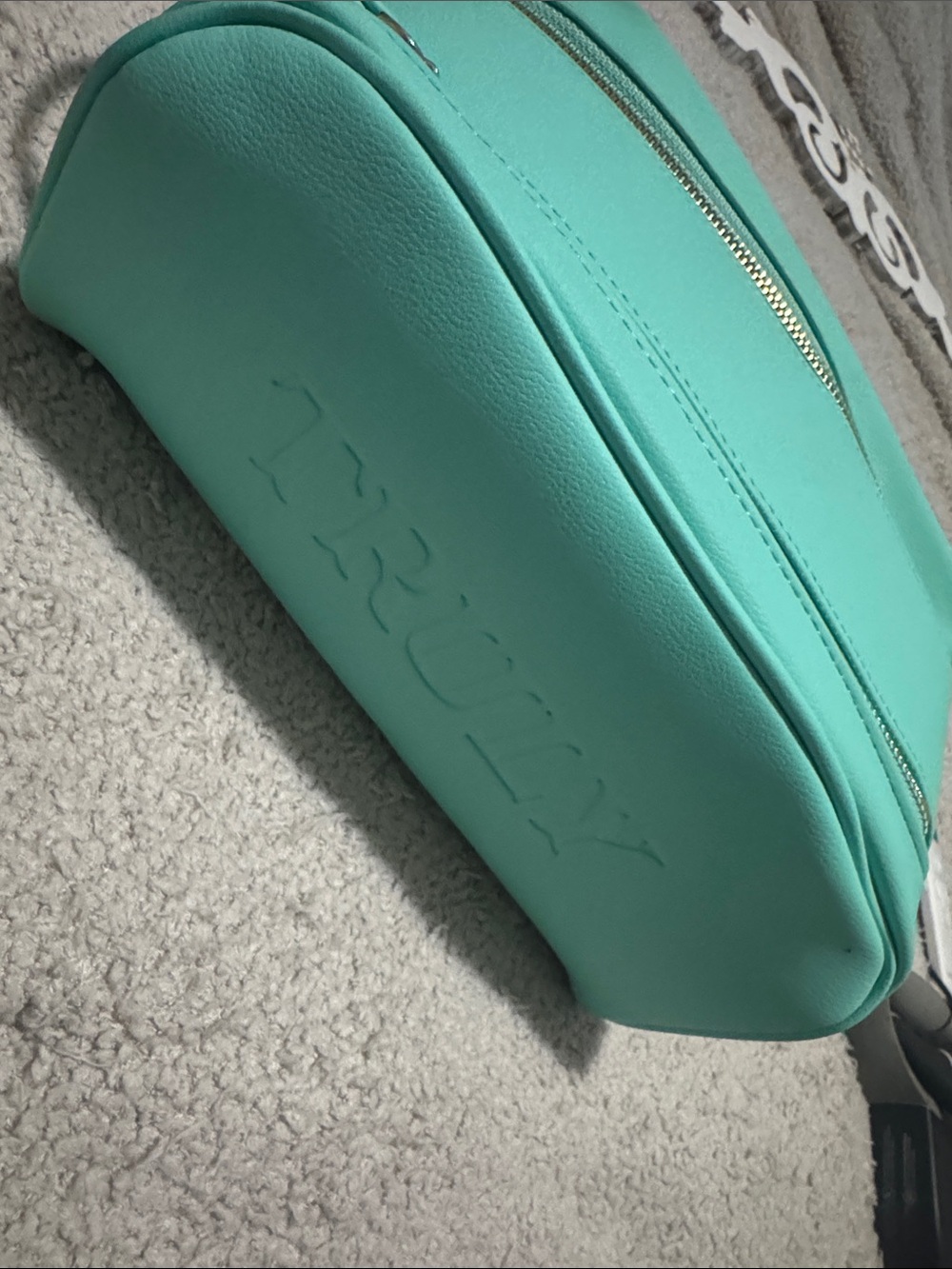 Truly Turquoise Cosmetic Pouch